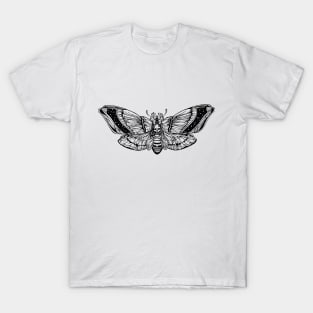 Death's Head Moth T-Shirt